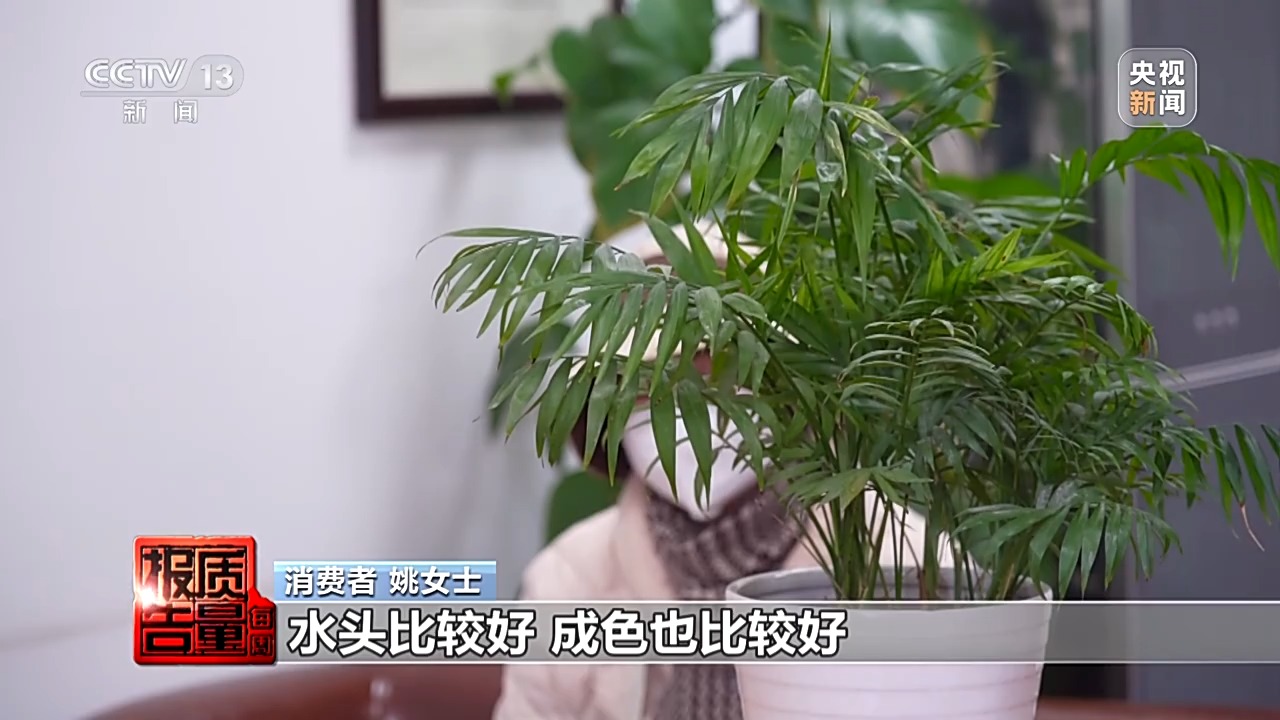 5888元翡翠成本只有20多元 警惕玉石直播間陷阱