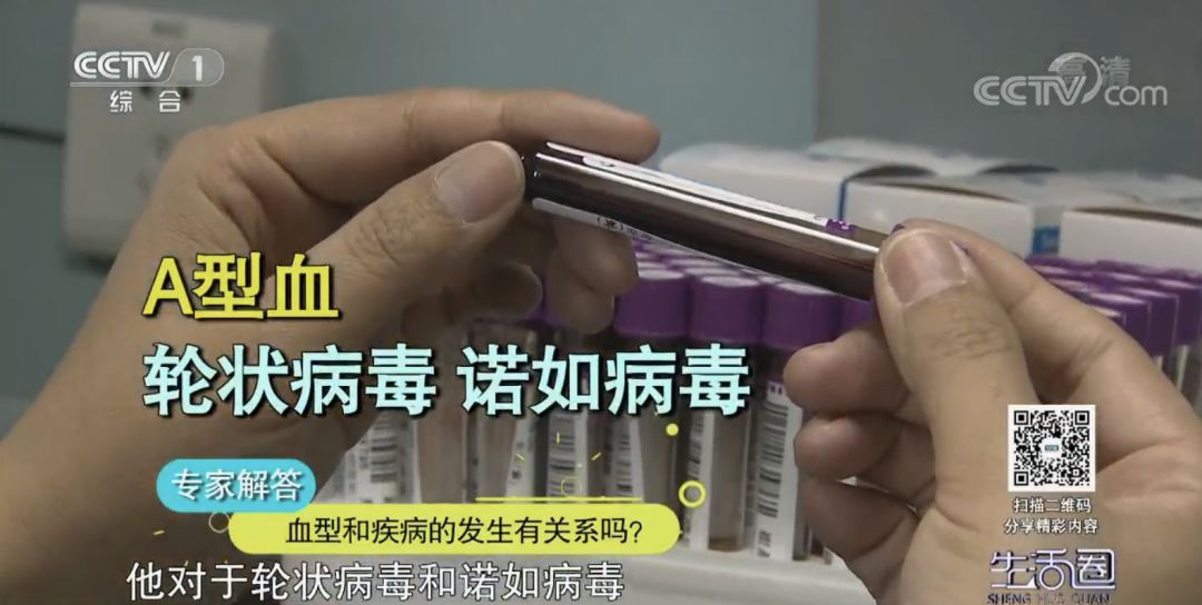 A型血的人易患冠心病 其他型血的人易患……
