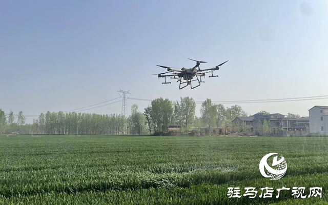 泌陽(yáng)縣高邑鎮(zhèn)：無(wú)人機(jī)助力小麥病蟲(chóng)害防治