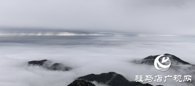 【大美天中】駐馬店老樂山：云海翻涌映翠峰 引客醉游于云端