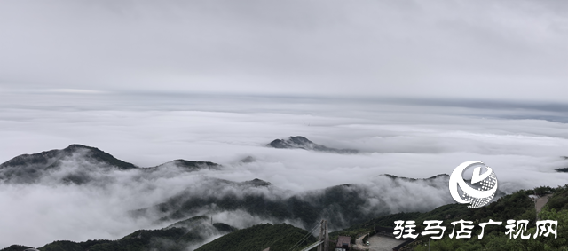 【大美天中】駐馬店老樂山：云海翻涌映翠峰 引客醉游于云端
