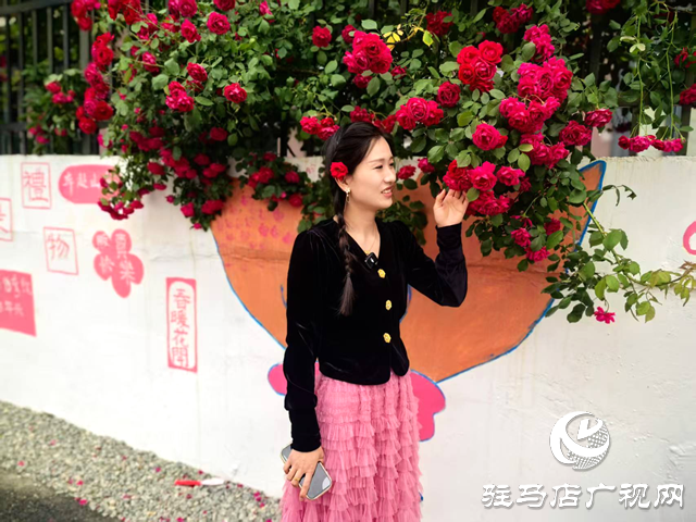 薔薇綻放 幼兒園老師繪就網(wǎng)紅打卡地
