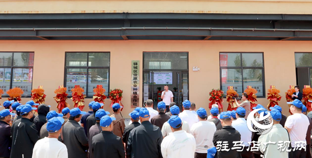 驛城區(qū)數(shù)字農(nóng)業(yè)服務(wù)中心正式啟動