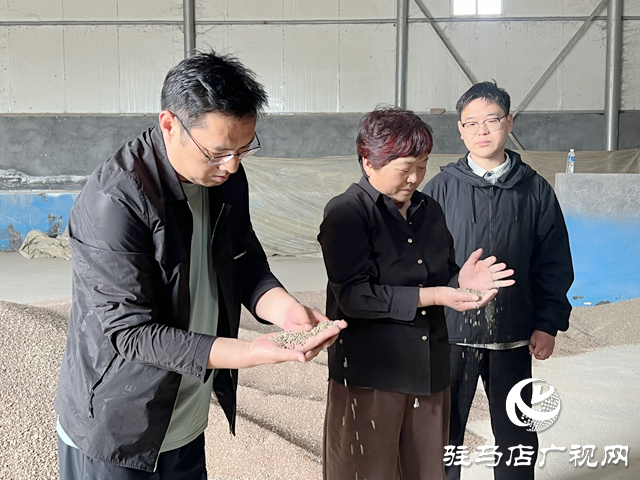 上蔡新農(nóng)人林卡：黑小麥磨出金色未來(lái) 打造綠色產(chǎn)業(yè)鏈助農(nóng)奔小康