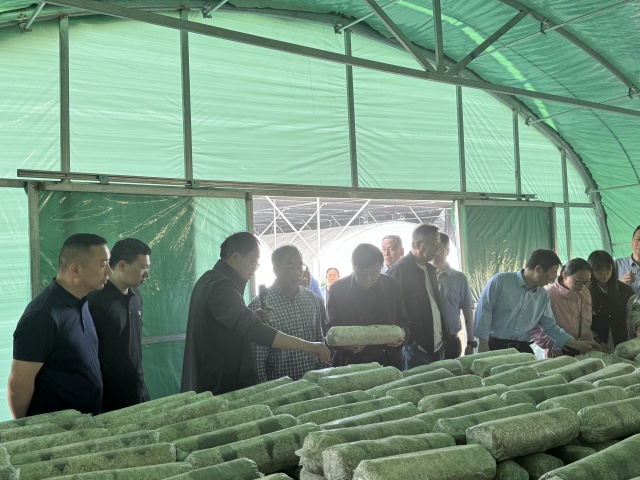 國家食用菌產(chǎn)業(yè)技術(shù)體系栽培與基質(zhì)研究室交流會在我市召開