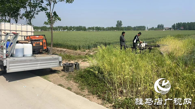 新蔡縣韓集鎮(zhèn)：“一噴三防”筑牢糧食安全“防護墻”