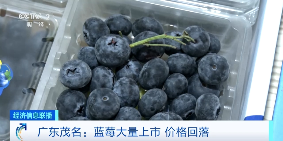 藍莓價格“腰斬”！每天吃一盒會發(fā)生什么？皮膚真的會變白嗎？