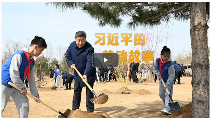 追光的你丨習(xí)近平的勞動(dòng)故事