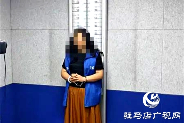 平輿縣人民法院：破曉而行，集中執(zhí)行持續(xù)“升溫”