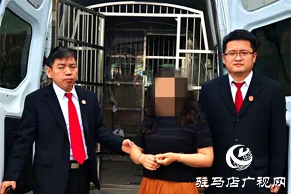 平輿縣人民法院：破曉而行，集中執(zhí)行持續(xù)“升溫”