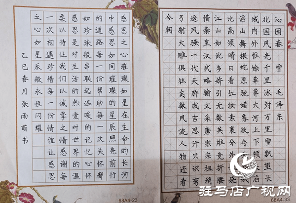 駐馬店職業(yè)技術(shù)學(xué)院成功舉辦“墨韻校園，詩詠青春”硬筆詩詞大賽