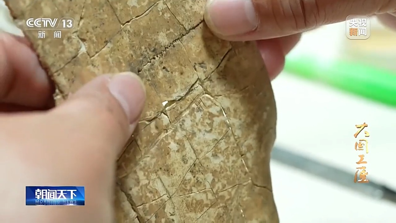 大國(guó)工匠·向新而行丨一片甲骨驚天下 她用墨拓讓商王朝的“朋友圈”清晰可見(jiàn)