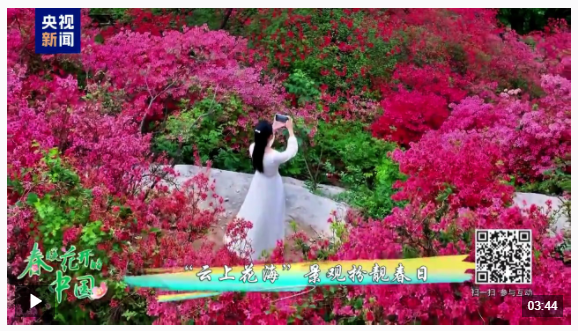 春暖花開(kāi)的中國(guó)丨來(lái)看中原大地絕美的暮春畫(huà)卷