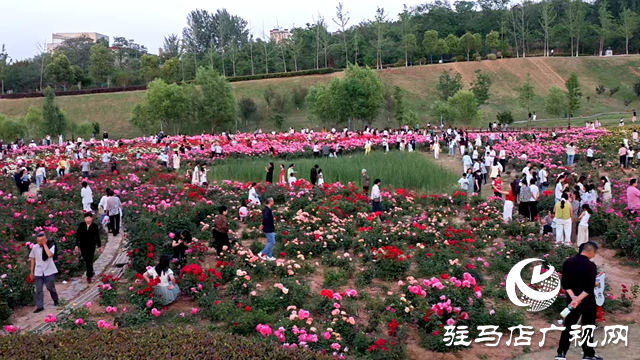 綠意蔥蘢花滿城！確山縣住建局精心打造“城市大花園”