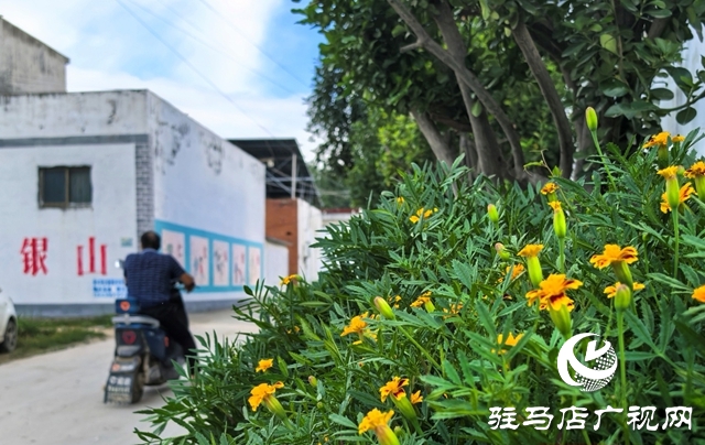 泌陽縣黃山口鄉(xiāng)：宜居鄉(xiāng)村宜共建，美好生活?yuàn)^斗來