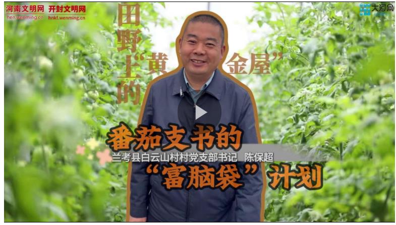 田野上的“黃金屋”丨番茄支書的“富腦袋”計(jì)劃