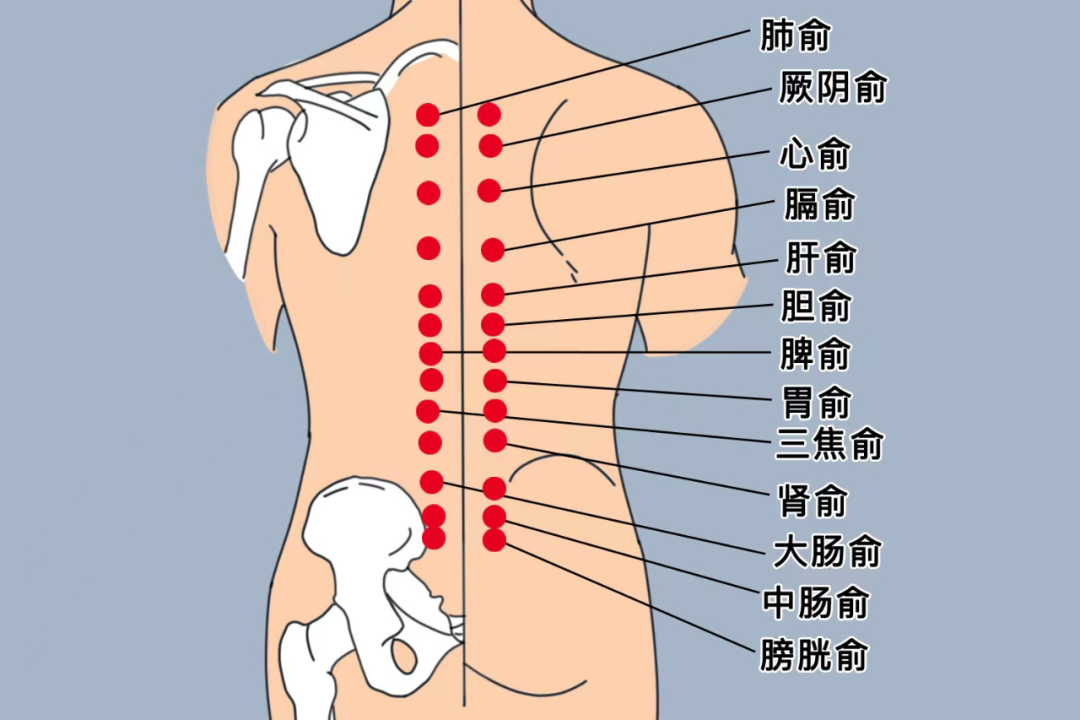 春夏交替易疲勞，4件事養(yǎng)好精力