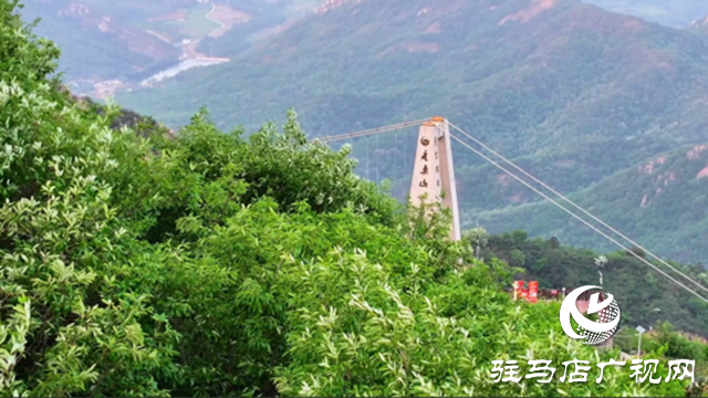 母親節(jié)期間 駐馬店老樂山景區(qū)推出“女性免費(fèi)游”活動(dòng)