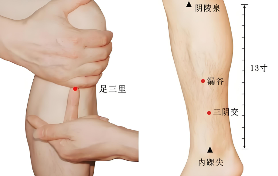 春夏交替易疲勞，4件事養(yǎng)好精力