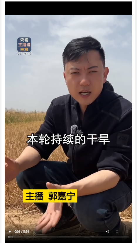 本輪干旱對(duì)河南小麥產(chǎn)量影響到底有多大？總臺(tái)記者深入河南麥田實(shí)地探訪