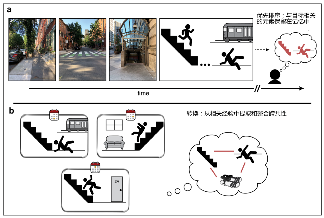 警惕！6個常見習(xí)慣，正在悄悄“偷走”你的記憶力