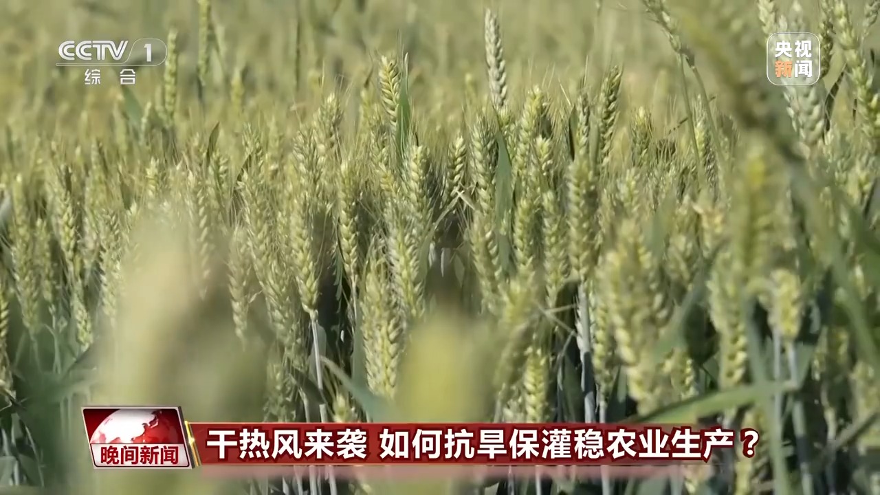 干熱風(fēng)來襲 如何抗旱保灌穩(wěn)農(nóng)業(yè)生產(chǎn)？