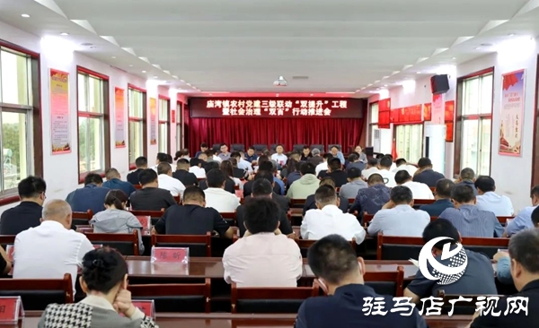 平輿縣廟灣鎮(zhèn)農(nóng)村黨建三級聯(lián)動“雙提升”暨社會治理“雙百”行動推進會召開