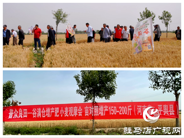 普眾良田農(nóng)業(yè)科技有限公司成功舉辦谷滿倉增產(chǎn)肥種植技術(shù)交流會暨VIP客戶答謝會
