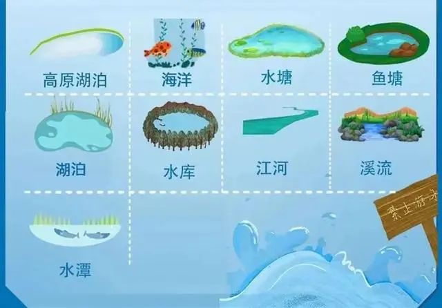 應(yīng)急時(shí)刻|野游，竟腳綁啞鈴……