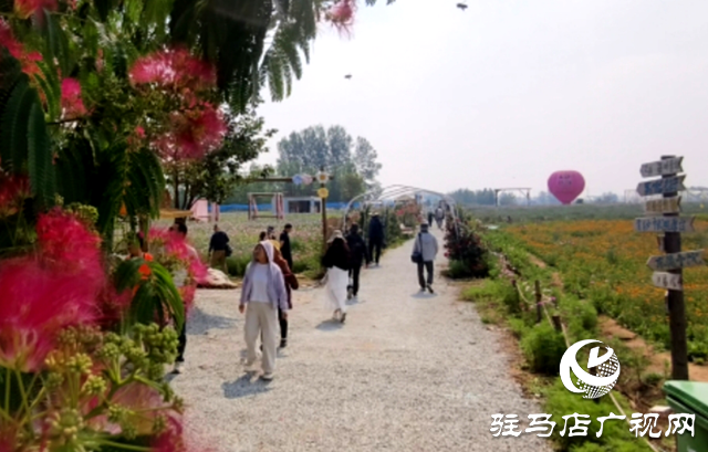 駐馬店驛城區(qū)魏莊村：百畝花?？楀\繡 文旅新篇引客來