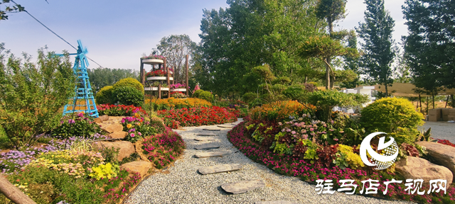駐馬店驛城區(qū)魏莊村：百畝花?？楀\繡 文旅新篇引客來