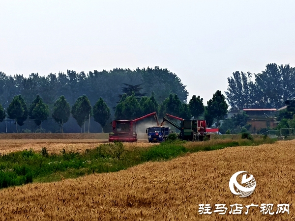 平輿縣楊埠鎮(zhèn)黨建引領(lǐng)聚合力：多方聯(lián)動搶農(nóng)時(shí) 筑牢糧食安全線