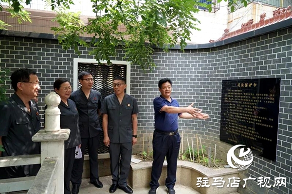 古槐樹下，“組團(tuán)”護(hù)綠——平輿縣人民法院聯(lián)合發(fā)布“司法保護(hù)令”