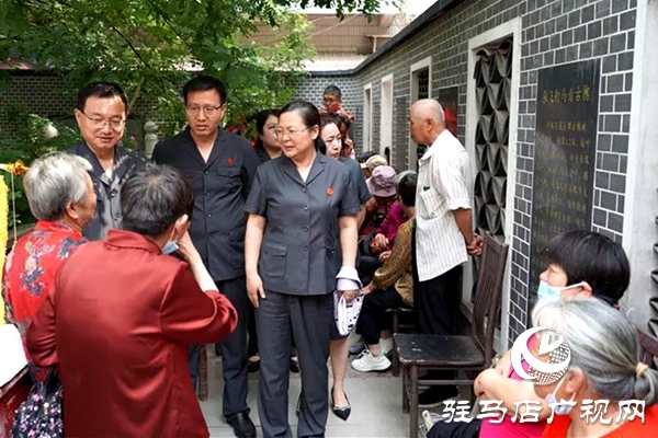 古槐樹下，“組團(tuán)”護(hù)綠——平輿縣人民法院聯(lián)合發(fā)布“司法保護(hù)令”