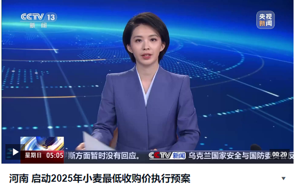 河南 啟動(dòng)2025年小麥最低收購價(jià)執(zhí)行預(yù)案