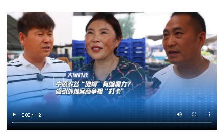 中原農(nóng)谷“灘桃”有啥魔力？ 吸引外地客商爭相“打卡”