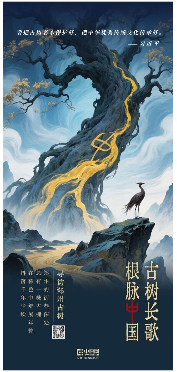 古樹長歌 | “頭道胡同”里的國槐，它曾一瞥“夕陽樓”的余暉