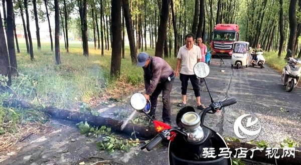平輿縣：休息日響應(yīng)“零延遲” 熱線聯(lián)動兩小時打通“梗阻路”
