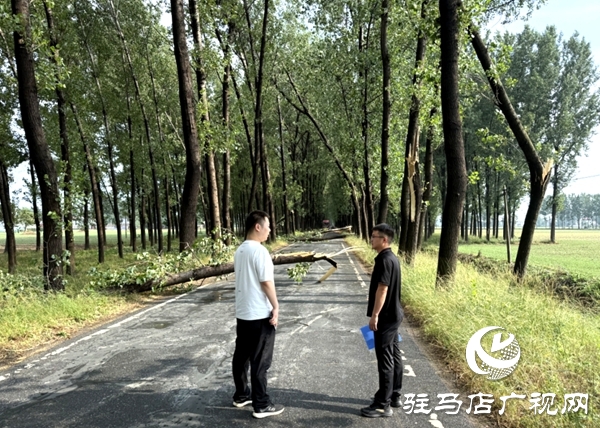 平輿縣：休息日響應(yīng)“零延遲” 熱線聯(lián)動兩小時打通“梗阻路”