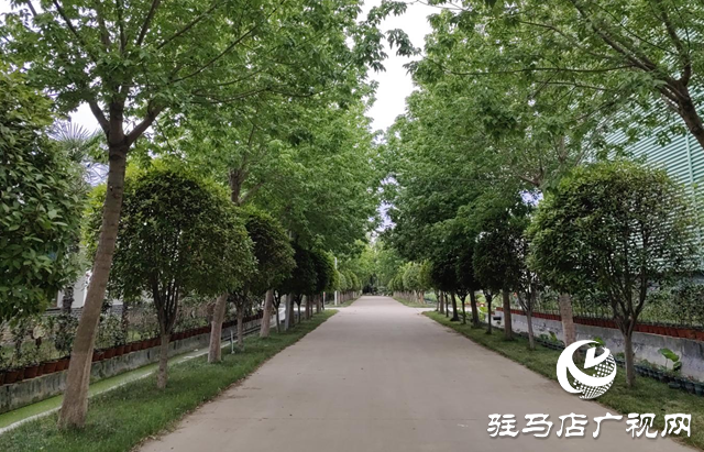 平輿縣李屯鎮(zhèn)：以“三園”建設助力產(chǎn)業(yè)化發(fā)展