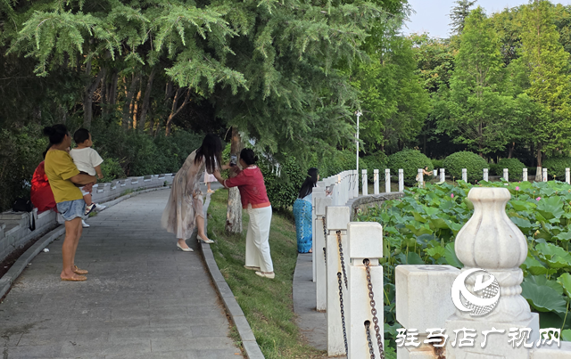 避暑首選！練江湖 置地公園為駐馬店市民送清涼