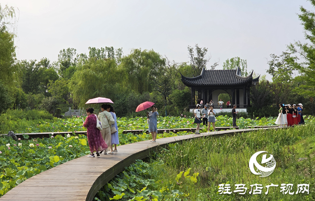 避暑首選！練江湖 置地公園為駐馬店市民送清涼