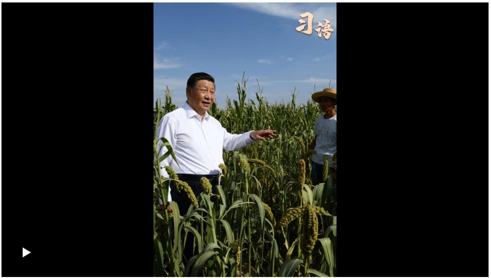 習(xí)語(yǔ)丨“中國(guó)人要把飯碗端在自己手里”