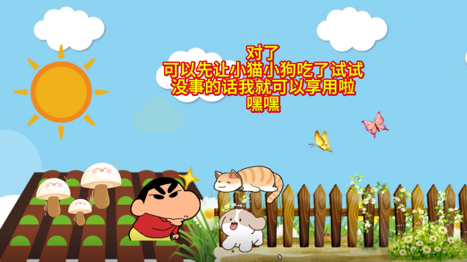讓動(dòng)物吃野生蘑菇試毒靠譜嗎？