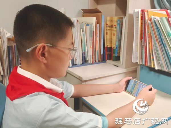  駐馬店實(shí)驗(yàn)小學(xué)組織開展“暑期網(wǎng)絡(luò)公益課堂·筑牢師生安全防線”活動