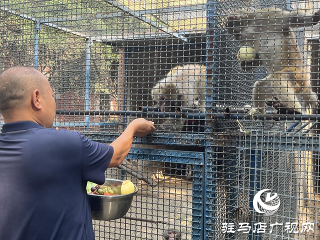 駐馬店南海動(dòng)物園出“涼”方 助動(dòng)物度夏