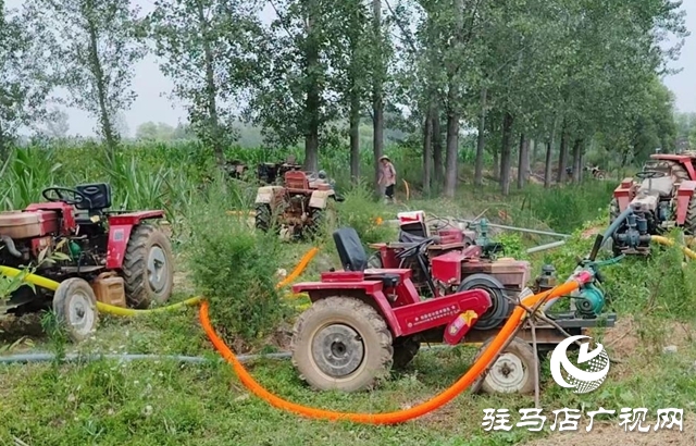 泌陽(yáng)縣下碑寺鄉(xiāng)： 多措并舉齊發(fā)力 硬核抗旱保秋糧
