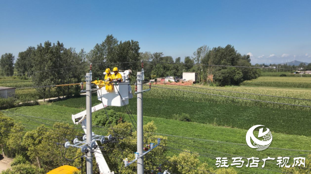 國網(wǎng)確山縣供電公司：進行帶電接火作業(yè) 確保線路不停電
