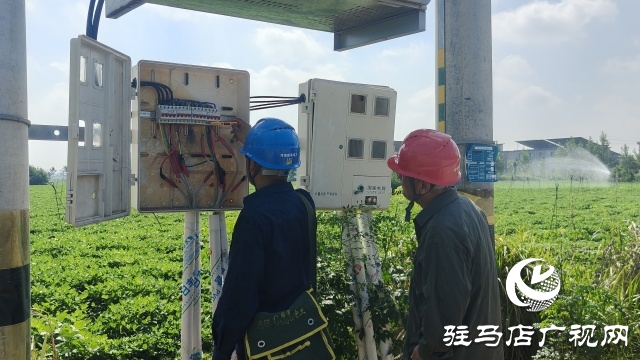 國網(wǎng)新蔡供電公司全力抗旱保電 守護(hù)民生與農(nóng)耕“生命線”