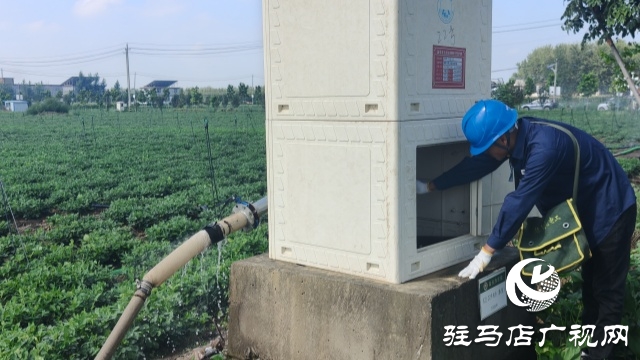 國網(wǎng)新蔡供電公司全力抗旱保電 守護(hù)民生與農(nóng)耕“生命線”
